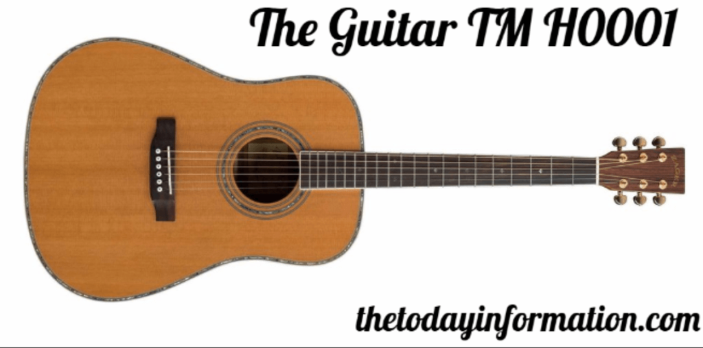 The Guitar TM H0001: A Comprehensive Review of Design, Performance, and Features